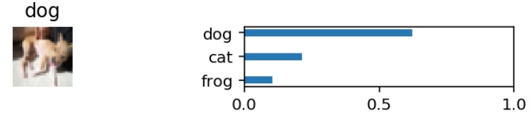 Image Classification